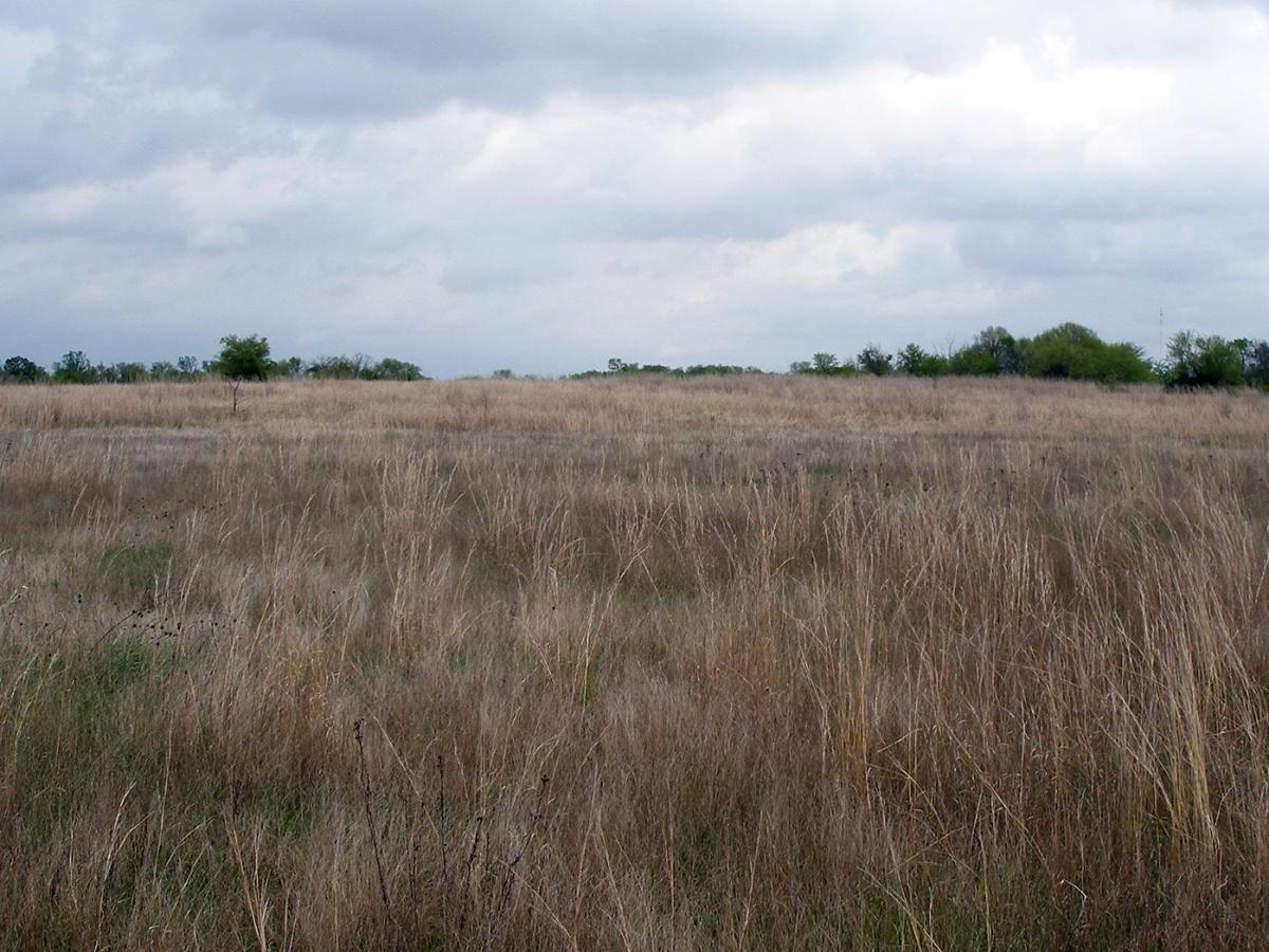 Poems by Benjamin Song (Winter&nbsp;2025-2026)