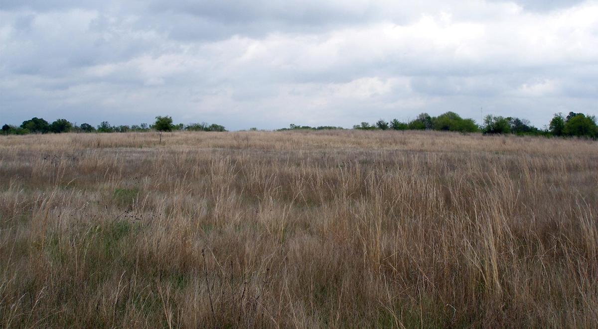 Poems by Benjamin Song (Winter&nbsp;2025-2026)